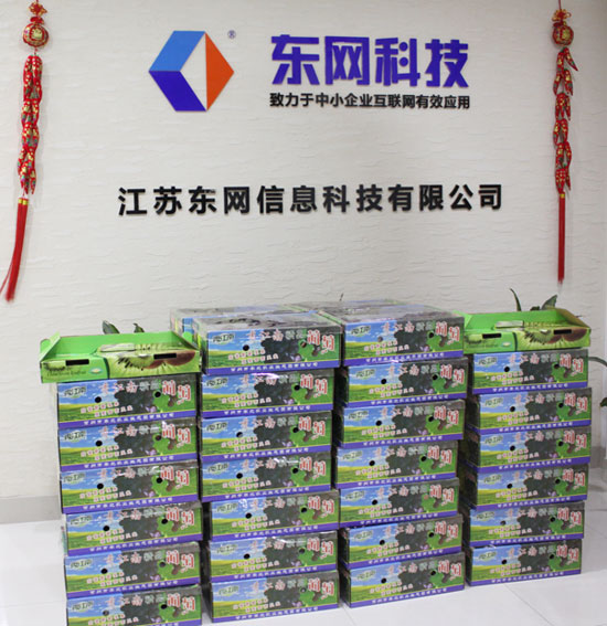 江蘇東網(wǎng)信息科技有限公司夏季福利