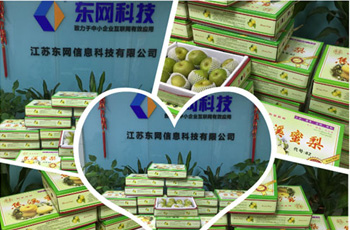 炎炎夏日送清涼，絲絲關(guān)愛(ài)沁人心！--江蘇東網(wǎng)派發(fā)夏令鮮果--焦溪特產(chǎn)蜜梨